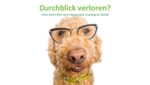 Der KomBi-Hund der PH Ludwigsburg