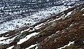 Tamino Eisele mit dem Bild "Skitouren in der endlosen Landschaft Norwegens" (University of Agder, Norwegen)