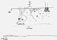 Skizze einer Schülerin zum Aufbau des Bodens