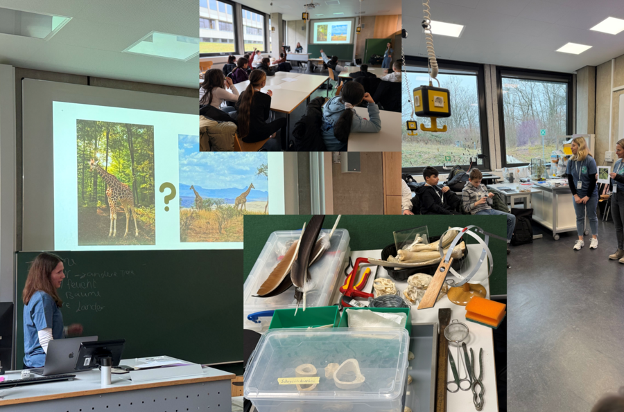 Auf dem Bild erkennt man Personen, beim Seminar