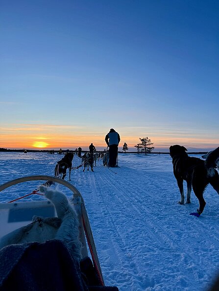 Anna Lina Feghelm mit dem Bild "Hundeschlitten" (NTNU, Norwegen)