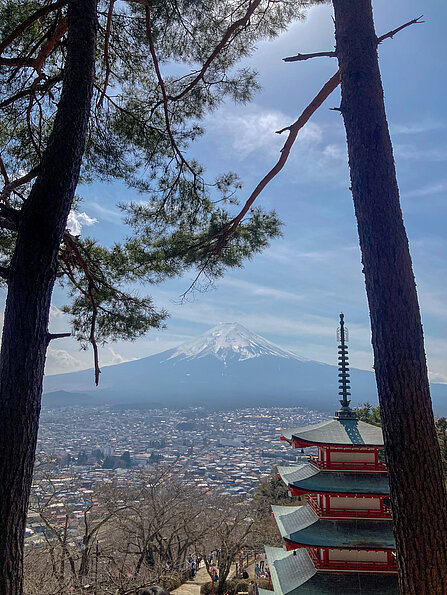 Sophie Bahr mit dem Bild "Aussicht Mt Fuji" (University of Yamanashi, Japan)