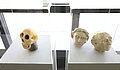 Blick in die Ausstellung