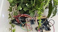 Gr&uuml;npflanze und Mikrocontroller in Kiste