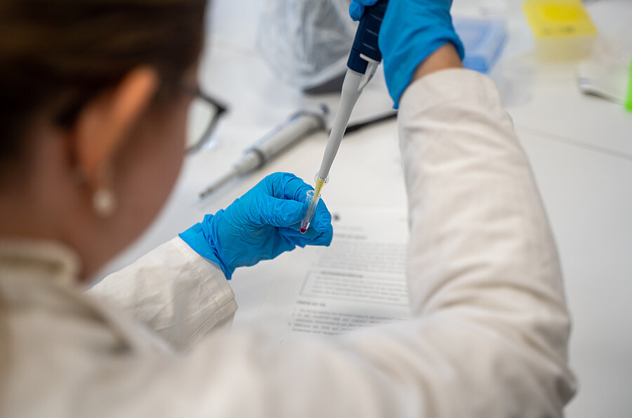 Rückenansicht einer Schülerin beim Pipettieren in einem Labor.