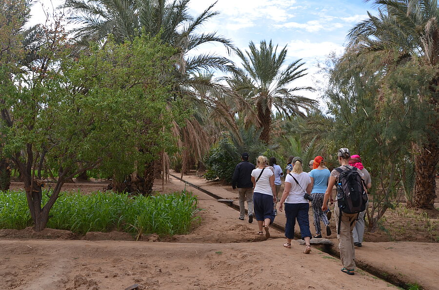 Oasengarten am Erg Chebbi