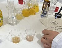 dekorativ