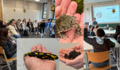 Man erkennt auf dem Bild Insekten in H&auml;nden