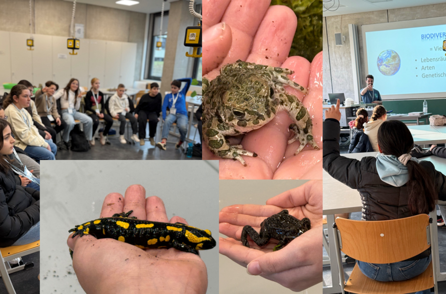Man erkennt auf dem Bild Insekten in H&auml;nden
