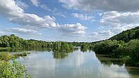 Ein schöner Waldsee