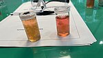 Zwei Glasfl&auml;schchen gef&uuml;llt mit Fl&uuml;ssigkeit.