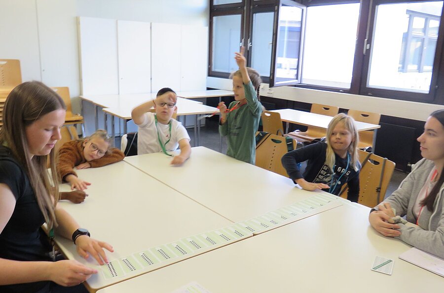 Aktivit&auml;t Zwanzigerfleder ordnen