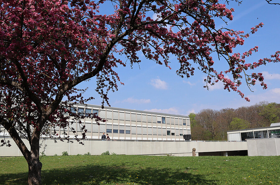 Blick auf Gebäude 1 mit blühendem Baum im Vordergrund