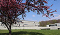 Blick auf Gebäude 1 mit blühendem Baum im Vordergrund