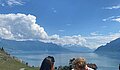 Laura Luft mit dem Bild "Weinwanderung_Lavaux2" (PH Zürich, Schweiz)