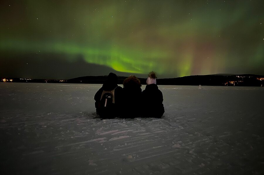 Anna Lina Feghelm mit dem Bild "Nordlichter" (NTNU, Norwegen)