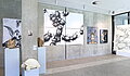 Blick in die Ausstellung in der Studiengalerie mit Werken der Studierenden