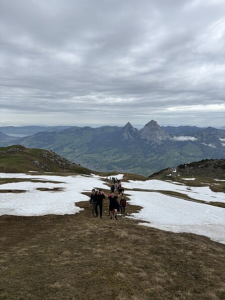 Jule Zimmernann mit dem Bild "Wanderer und Schnee" (Pädagogische Hochschule Zürich, Schweiz)