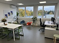 dekorativ