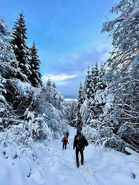 Anna Lina Feghelm mit dem Bild "Schneewanderung" (NTNU, Norwegen)