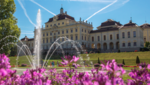 Ludwigsburg Palace with flowers
