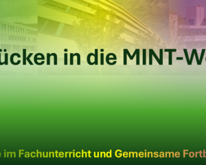 Header mit Aufschrift Br&uuml;cken in die Mint-Welt