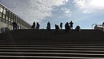 Bild von Rollstuhlfahrern auf der großen Treppe als Symbol für das Seminar Rollstuhlsport und Mobilitätstraining