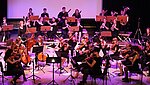 Hochschulorchester der PH Ludwigsburg