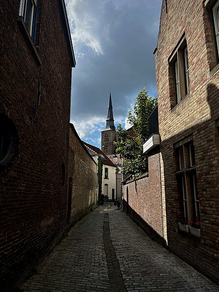 Simon Binanzer mit dem Bild "Blick auf Sint-Annakerk" (VIVES, Belgien)