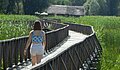 Melina Haar mit dem Bild "Naturpark Kopacki rit" (Osijek, Kroatien)