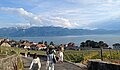 Laura Luft mit dem Bild "Weinwanderung_Lavaux1" (PH Zürich, Schweiz)