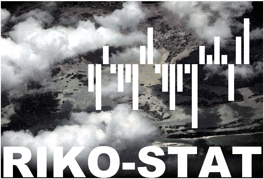 Logo RIKO-STAT