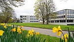 Blick auf die Hinterseite der Gebäude 1 und 1a der PH Ludwigsburg- Im Vordergund der blühende Wegerand am Favoritepark